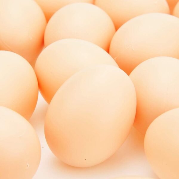 51RQm0sR6ZL._AC_SL1000_ EGG TOY -(30PCS)