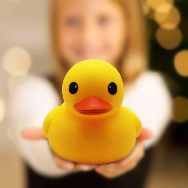 51iTmevzB7L._AC_SL1500_ FAMILY DUCK(L)