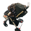 Stroller (LB-822)