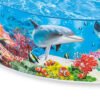 INTEX Swimming Pool-58472
